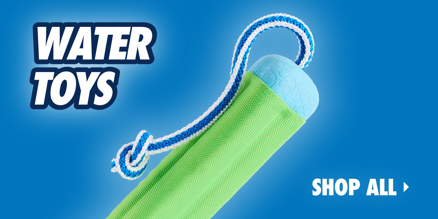 Chuckit Online Store Chuckit | Complete Dog Fetch Play Collection – Puncture-Resistant, Mouth-Friendly, Floating & High Bounce - Chuckit Online Store
