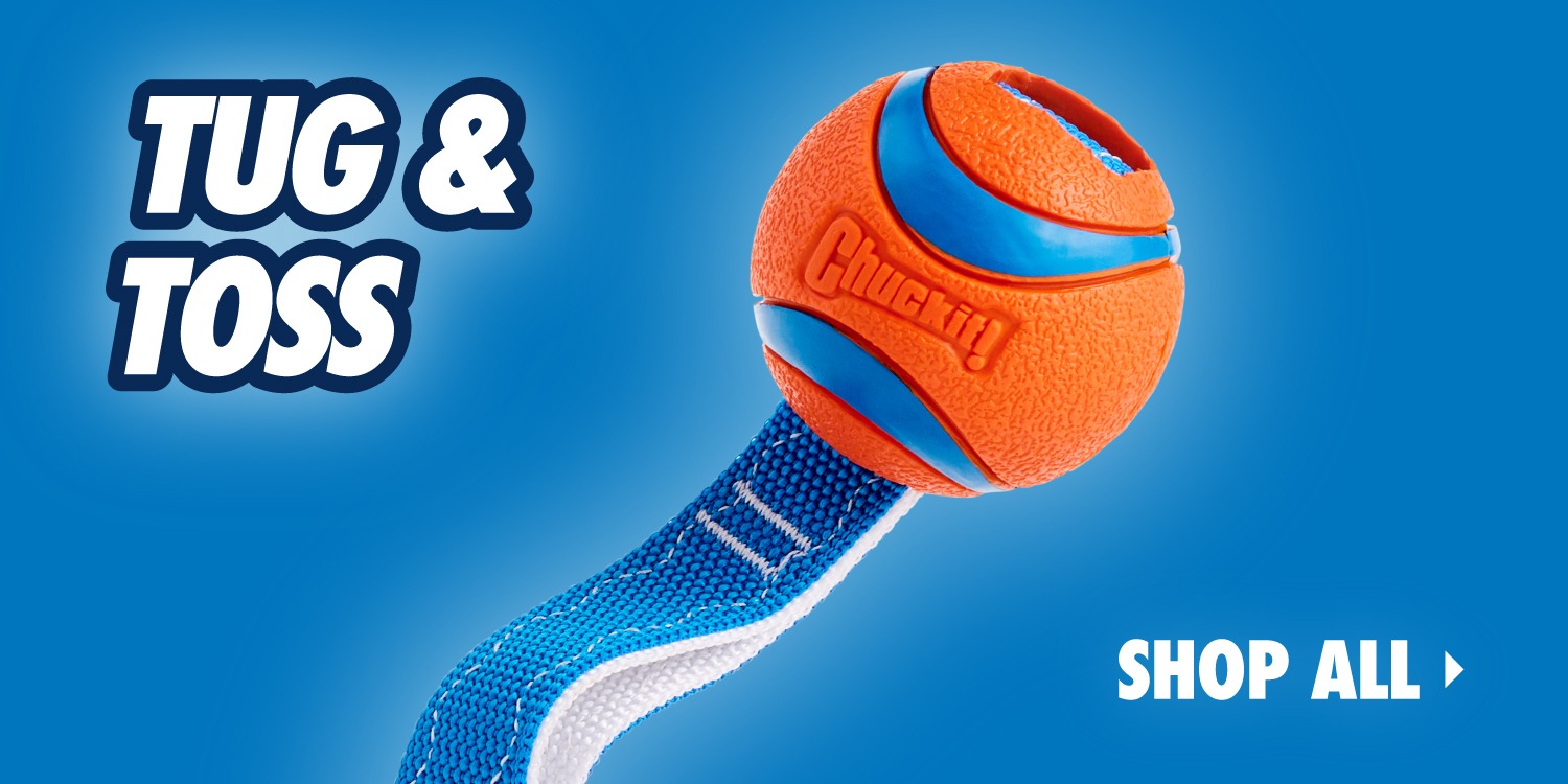 Chuckit Online Store Chuckit | Complete Dog Fetch Play Collection – Puncture-Resistant, Mouth-Friendly, Floating & High Bounce - Chuckit Online Store