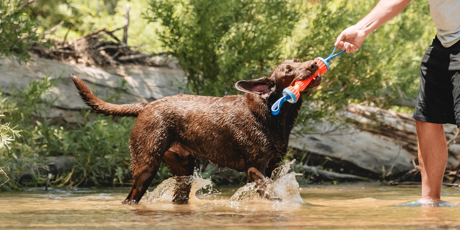 Chuckit Online Store Chuckit | Complete Dog Fetch Play Collection – Puncture-Resistant, Mouth-Friendly, Floating & High Bounce - Chuckit Online Store