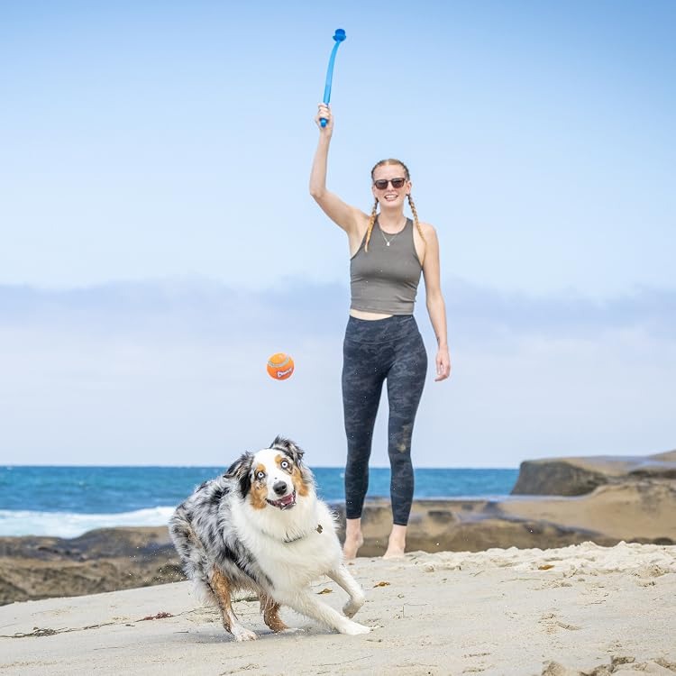 Chuckit Online Store Chuckit | Complete Dog Fetch Play Collection – Puncture-Resistant, Mouth-Friendly, Floating & High Bounce - Chuckit Online Store